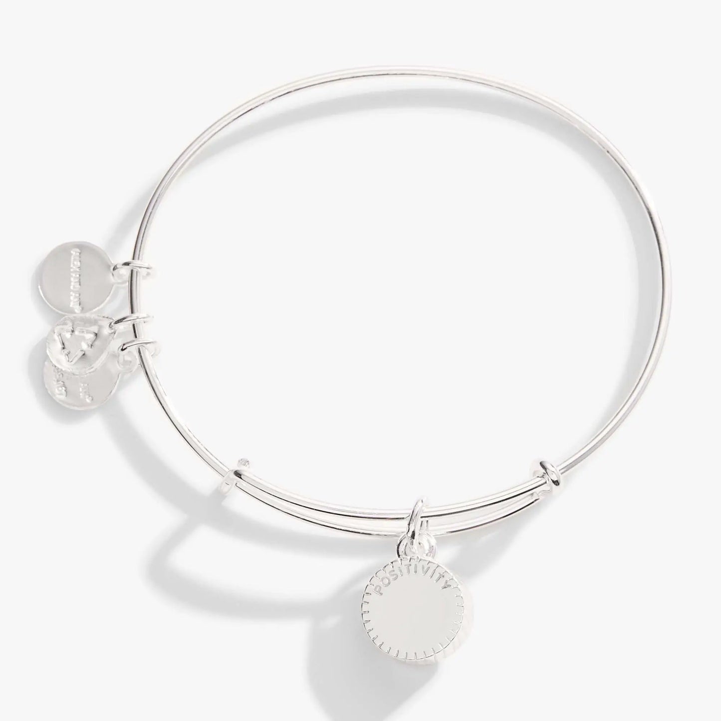 August Birthstone Charm Bangle by ALEX AND ANI, silver-tone bracelet with coin charms on Tampa Home & Garden Store