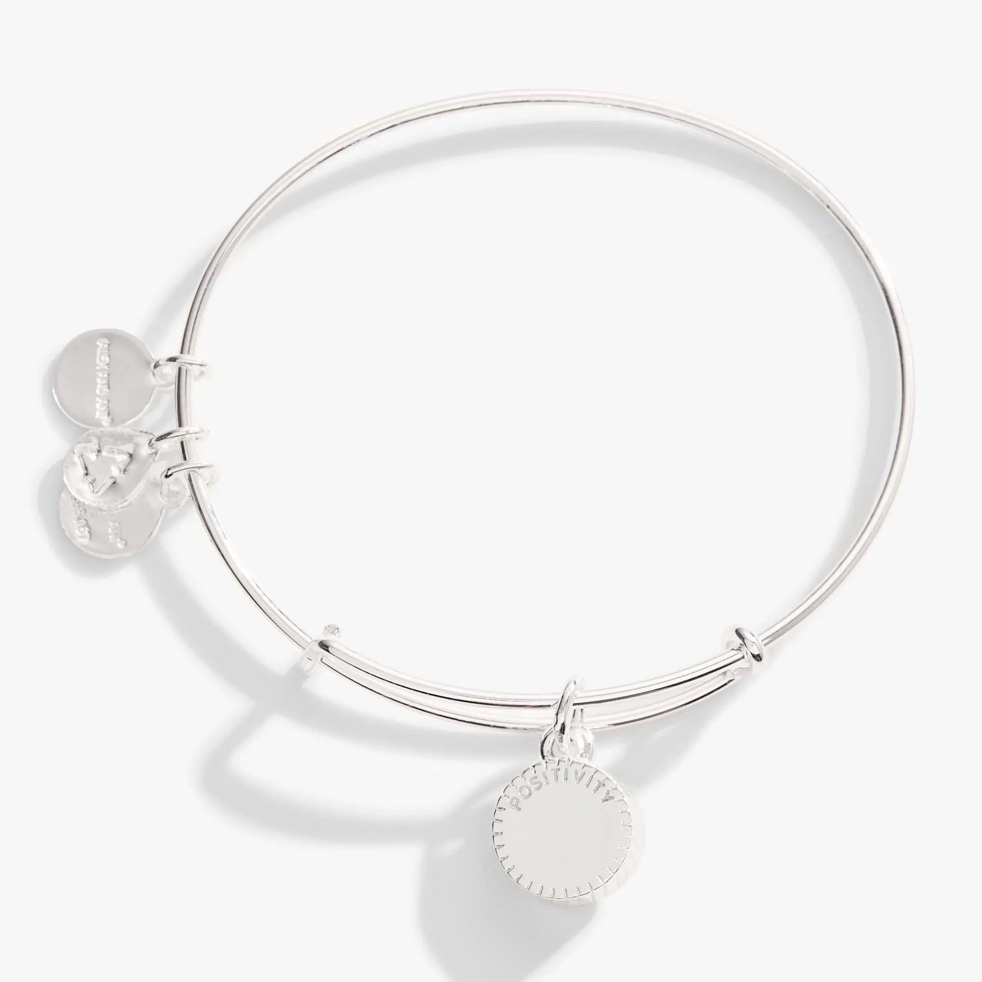 August Birthstone Charm Bangle by ALEX AND ANI, silver-tone bracelet with coin charms on Tampa Home & Garden Store
