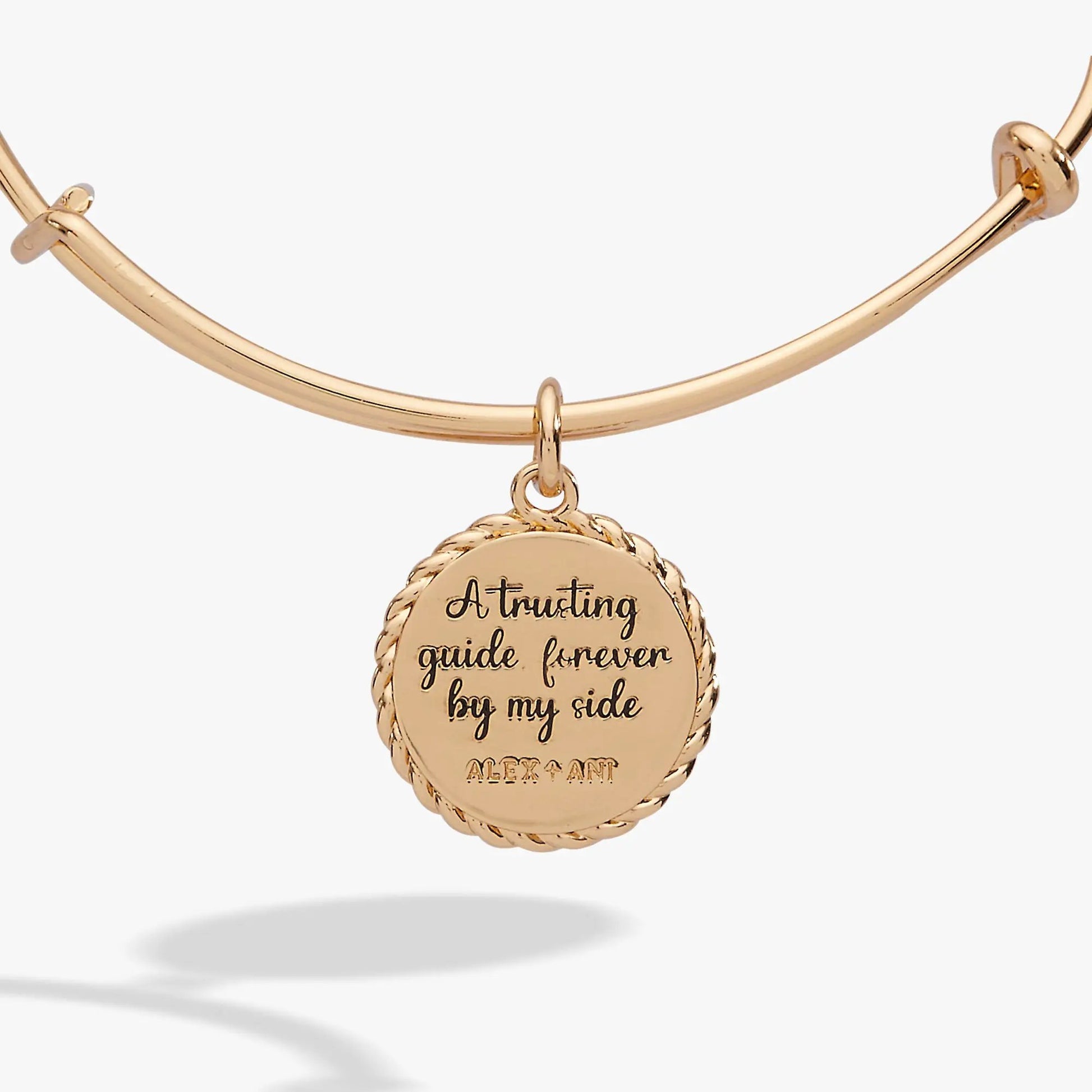 Charm bracelet rose-gold tone with round pendant and visible ALEX AND ANI branding on Tampa Home & Garden Store