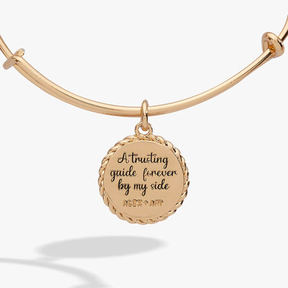 Charm bracelet rose-gold tone with round pendant and visible ALEX AND ANI branding on Tampa Home & Garden Store
