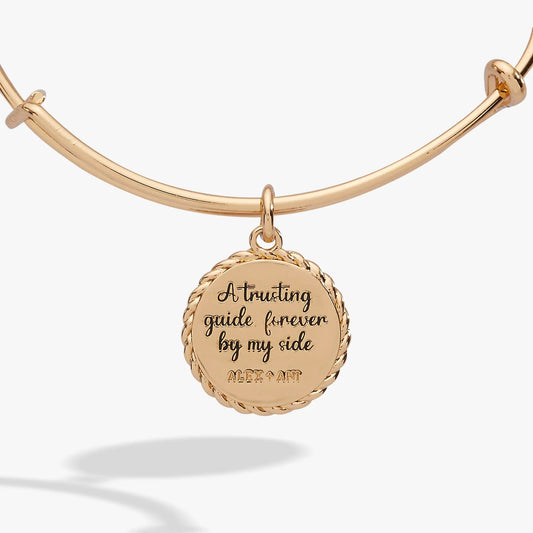 Charm bracelet rose-gold tone with round pendant and visible ALEX AND ANI branding on Tampa Home & Garden Store