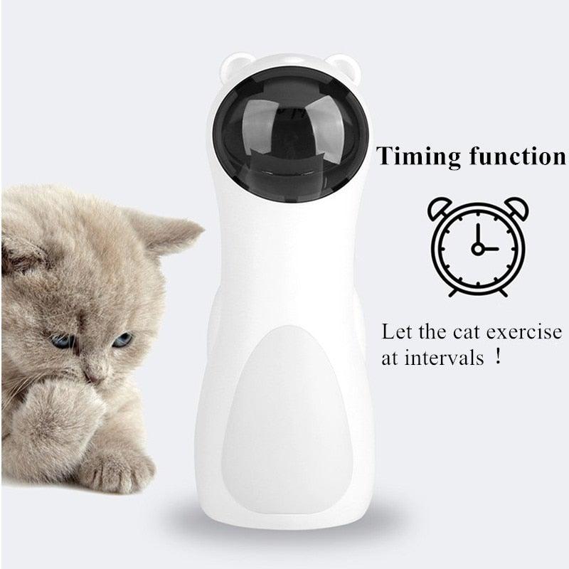 Stevvex cat teaser laser toy handheld white device with black dome cat beside it on Tampa Home & Garden Store