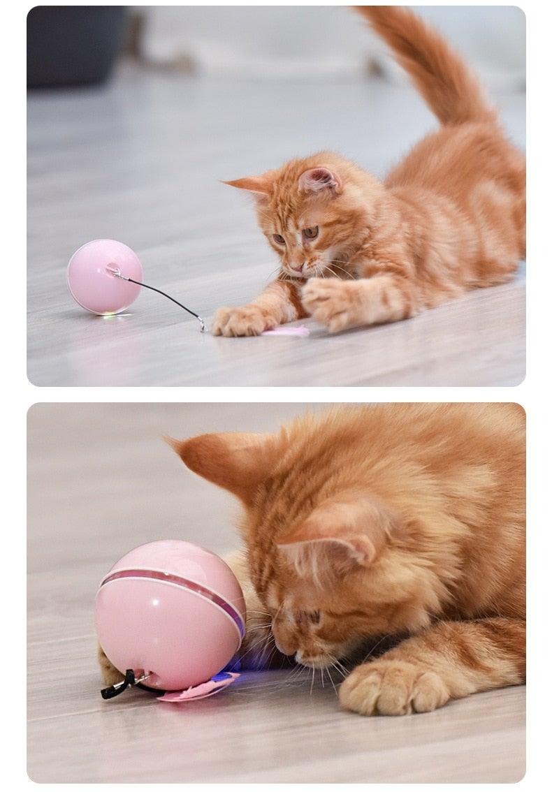 Stevvex pink automatic smart cat toy ball with LED light, USB rechargeable, self-rotating on Tampa Home & Garden Store