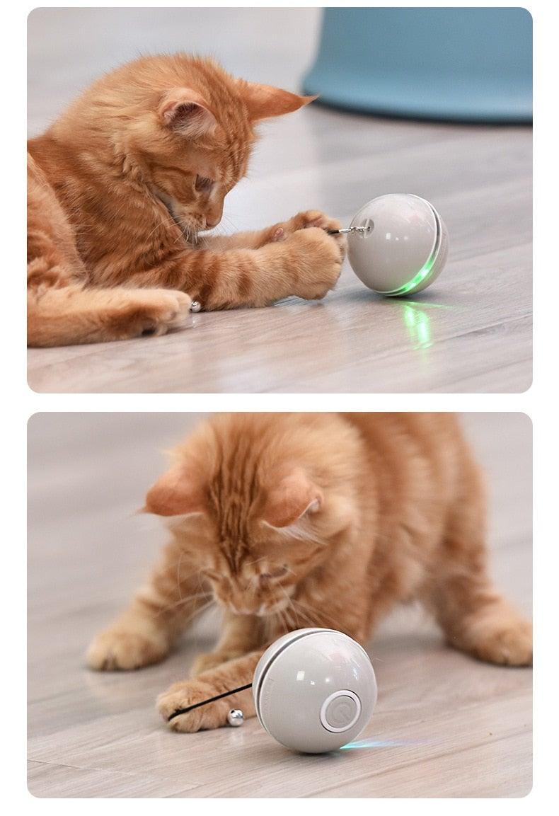 Stevvex cat toy ball USB rechargeable self-rotating LED with feather bells (gray) on Tampa Home & Garden Store