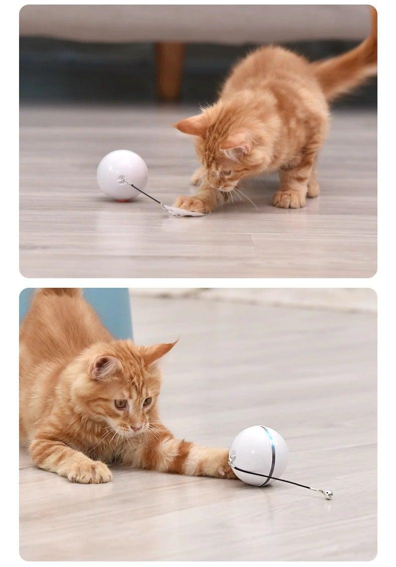 White automatic smart cat toy ball with LED lights and tethered string for interactive play on Tampa Home & Garden Store