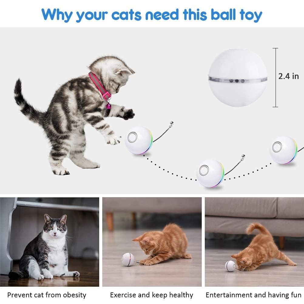 Automatic Smart Cat Toy Ball Stevvex with USB rechargeable, rotating LED lights 3-ball toy on Tampa Home & Garden Store