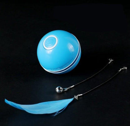 Blue interactive cat toy ball with feather tassels and bell cords on Tampa Home & Garden Store