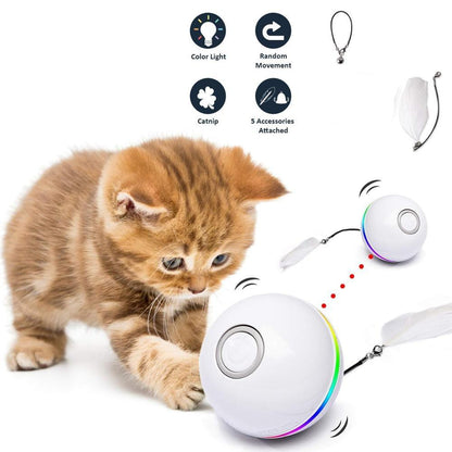 Stevvex automatic cat toy ball with LED lights, USB rechargeable, self-rotating feather on Tampa Home & Garden Store