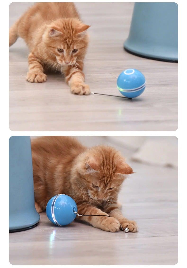 Stevvex Cat Toy Ball with blue LED sphere and tethered string for interactive play in two angles on Tampa Home & Garden Store