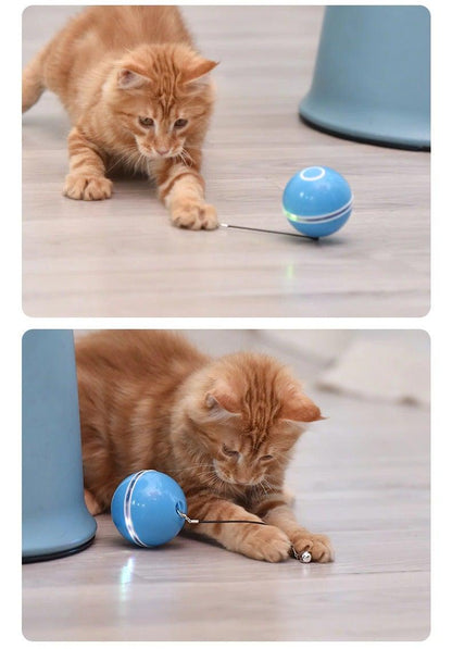 Stevvex Cat Toy Ball with blue LED sphere and tethered string for interactive play in two angles on Tampa Home & Garden Store
