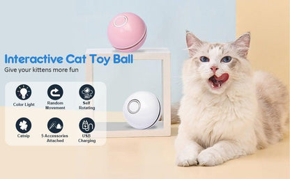 Automatic Smart Cat Toy Ball with LED lights, self-rotating and USB rechargeable for cats on Tampa Home & Garden Store