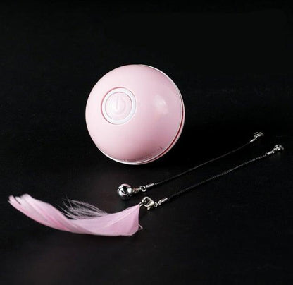 Stevvex pink interactive cat toy ball with feather wand and bells USB rechargeable LED on Tampa Home & Garden Store