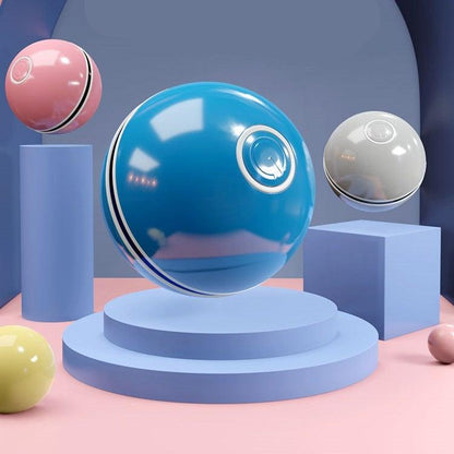 Stevvex smart cat toy ball with built-in spinning LED light; four colorful balls on Tampa Home & Garden Store