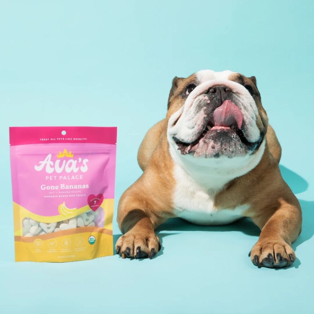 Friandises bio pour chiens cuites au four Ava's Pet Palace - Goût banane (170 g) / Lot de 2
