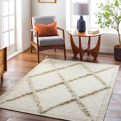Awen Hand Knotted Wool Area Rug in cream with tassel fringe Boutique Rugs on Tampa Home & Garden Store