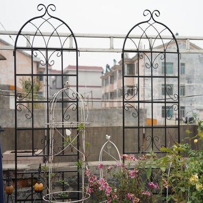 Metal Trellis For Climbing Plants And Vines