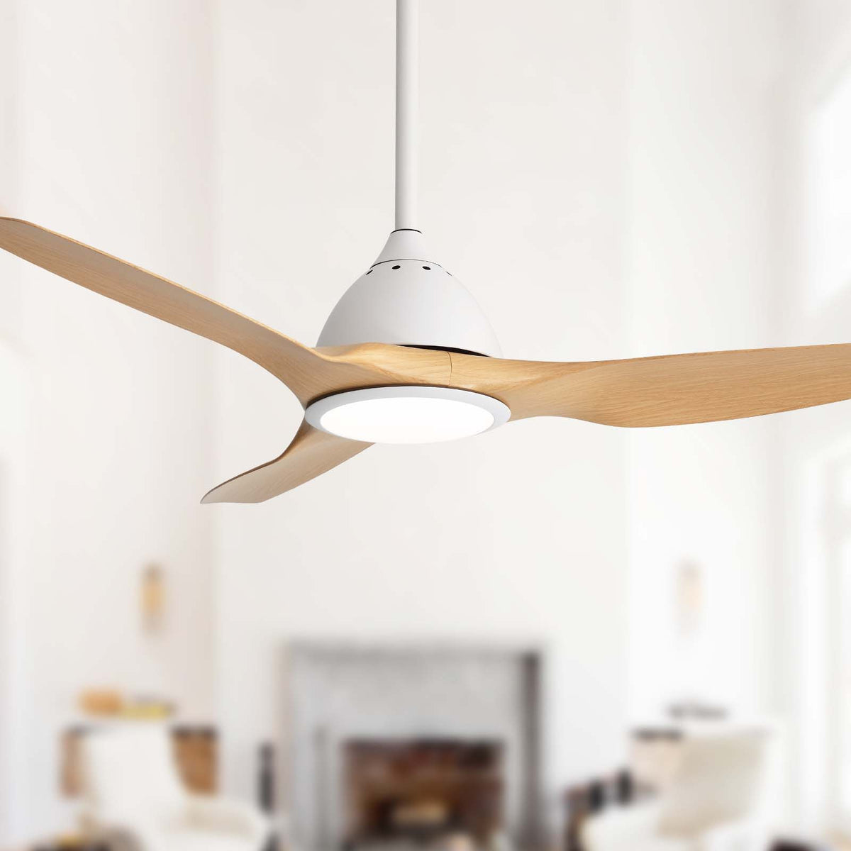 Ceiling fan Bredoom 52-inch with remote LED light and light brown wood blades on Tampa Home & Garden Store