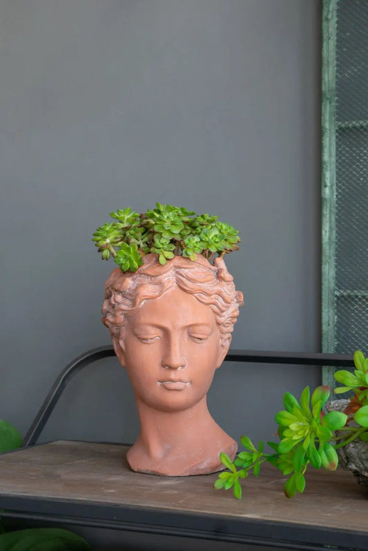 D7X11 Visage Head Bust Planter brown terracotta with succulents on Tampa Home & Garden Store