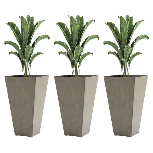 Outsunny set of 3 tall gray planters with drainage holes housing banana plants on Tampa Home & Garden Store