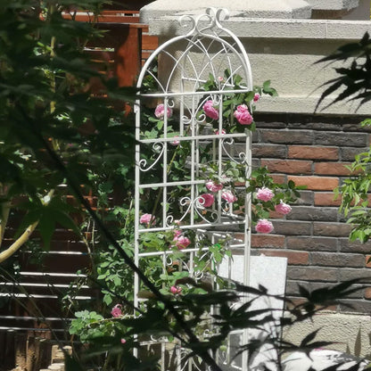 Metal Trellis For Climbing Plants And Vines