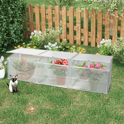 Indoor and Outdoor Polycarbonate Greenhouse