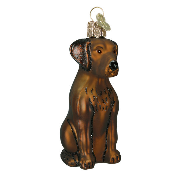Adorno de cristal con forma de labrador de chocolate