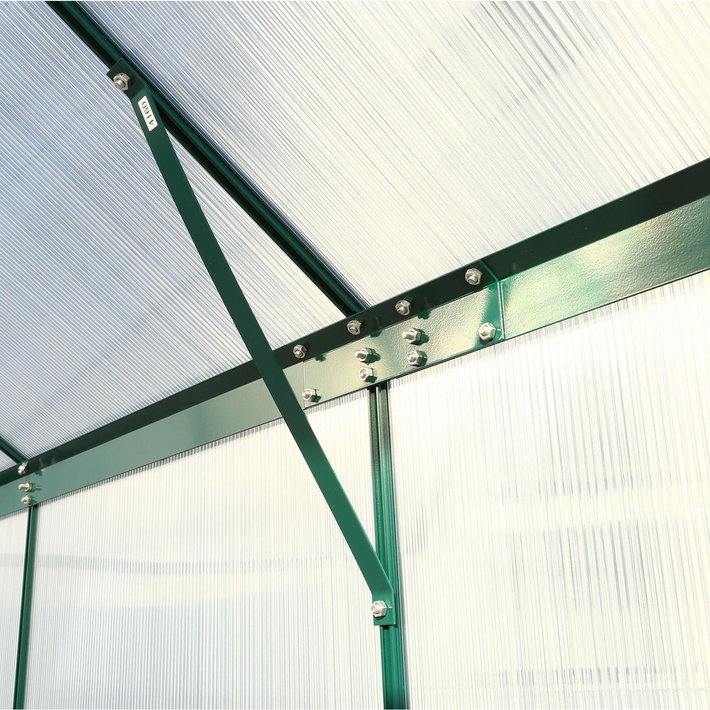 Heavy Duty Polycarbonate Greenhouse Kit and Door