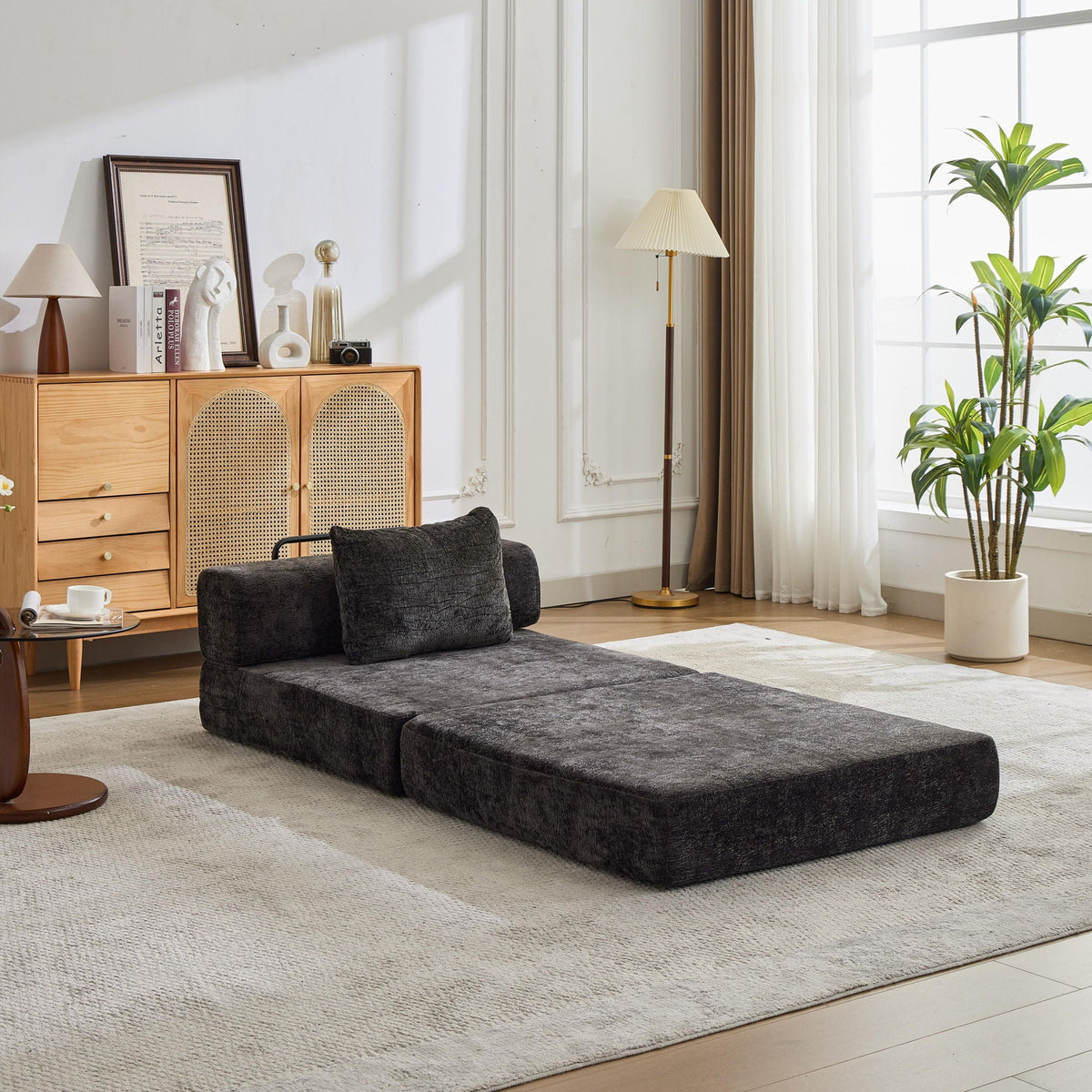 Convertible Floor Sofa Bed and Living Room