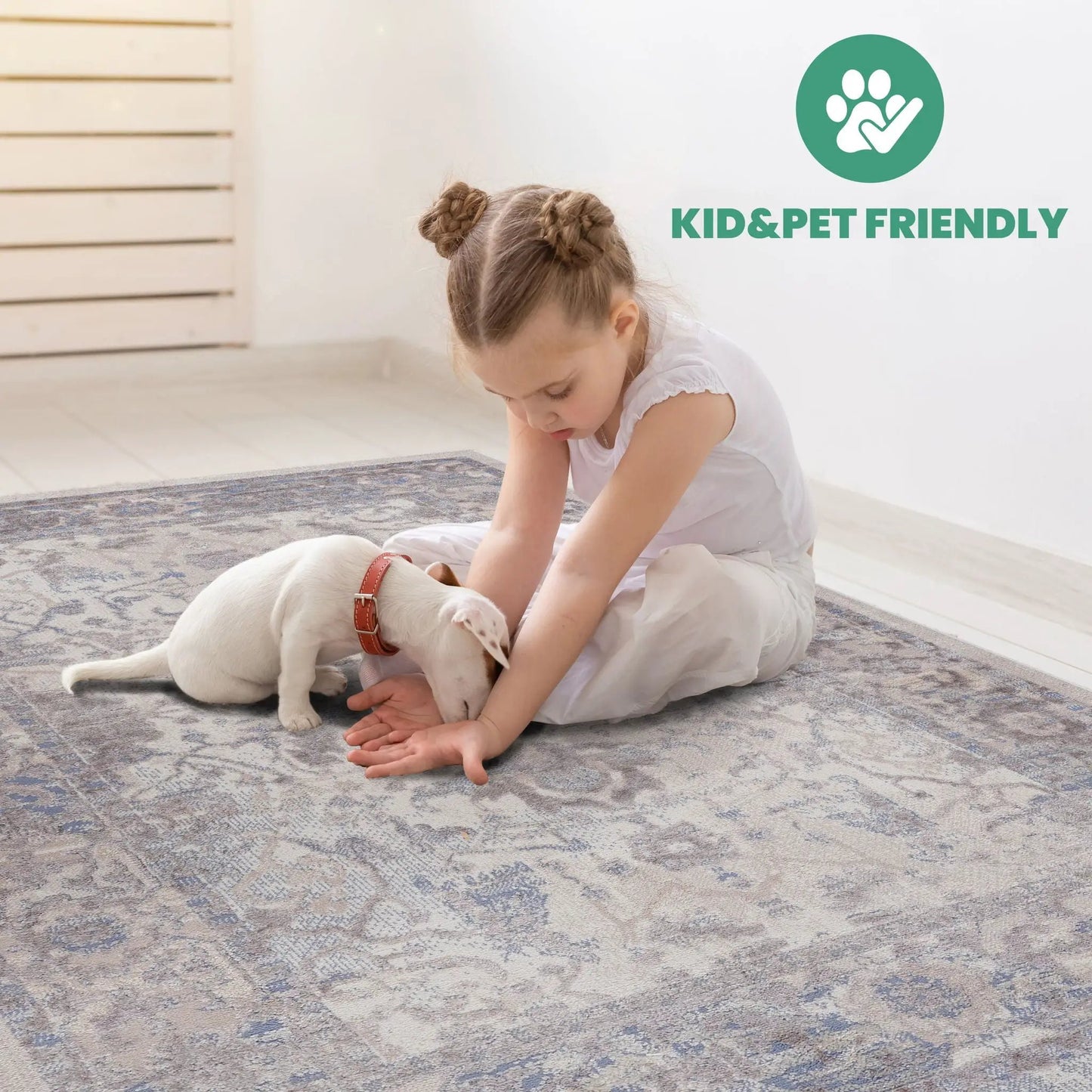 Payas Trendy Traditional Area Rug in Neutral