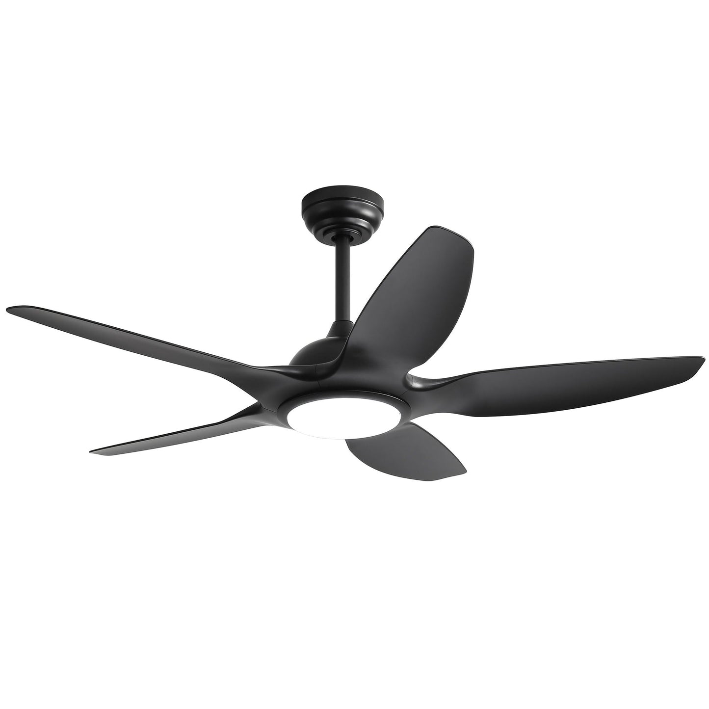 Ceiling fan by HouseOfZazla, black 5-blade with dimmable LED light and remote control, DC motor on Tampa Home & Garden Store