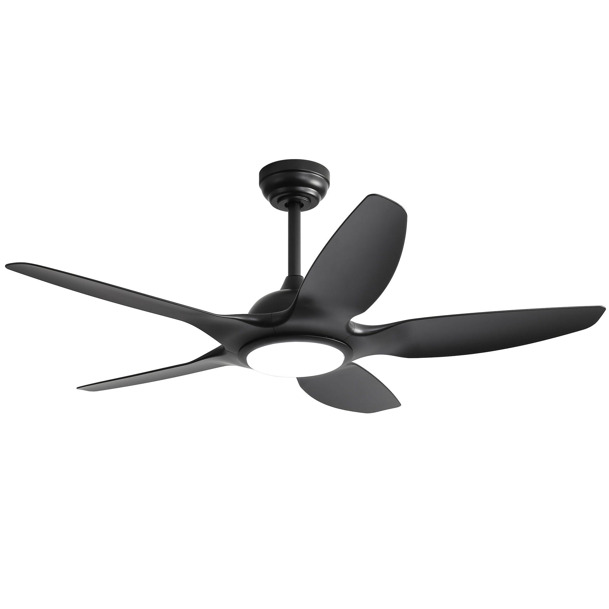 Ceiling fan by HouseOfZazla, black 5-blade with dimmable LED light and remote control, DC motor on Tampa Home & Garden Store