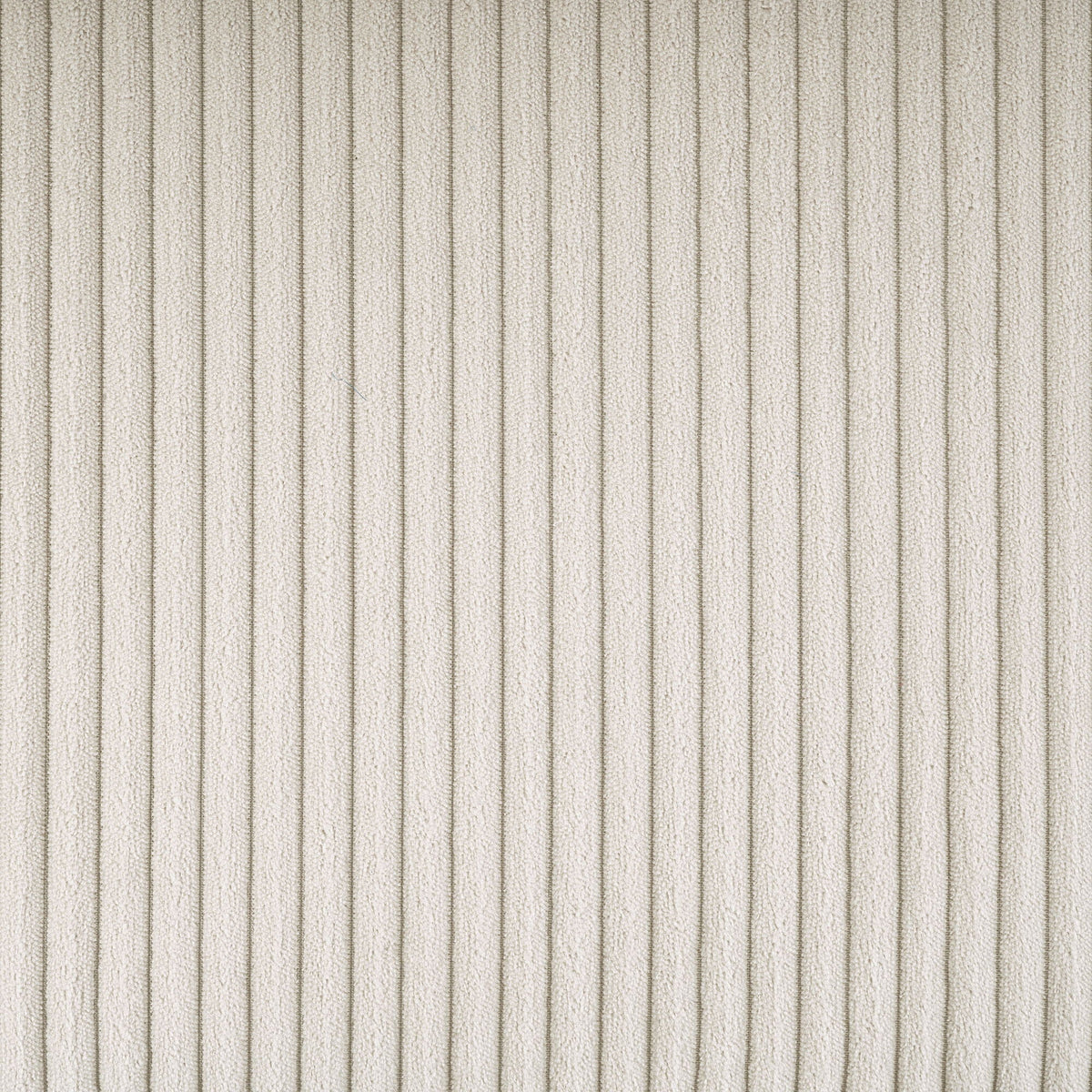 Beige striped textured carpet close-up with vertical rib pattern on Tampa Home & Garden Store