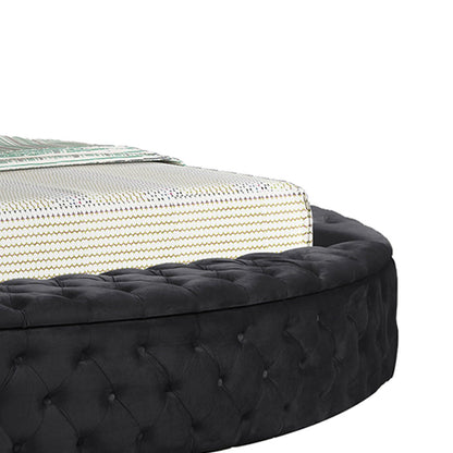 Hazel storage bed by HouseOfZazla in black tufted upholstery with patterned mattress on Tampa Home & Garden Store