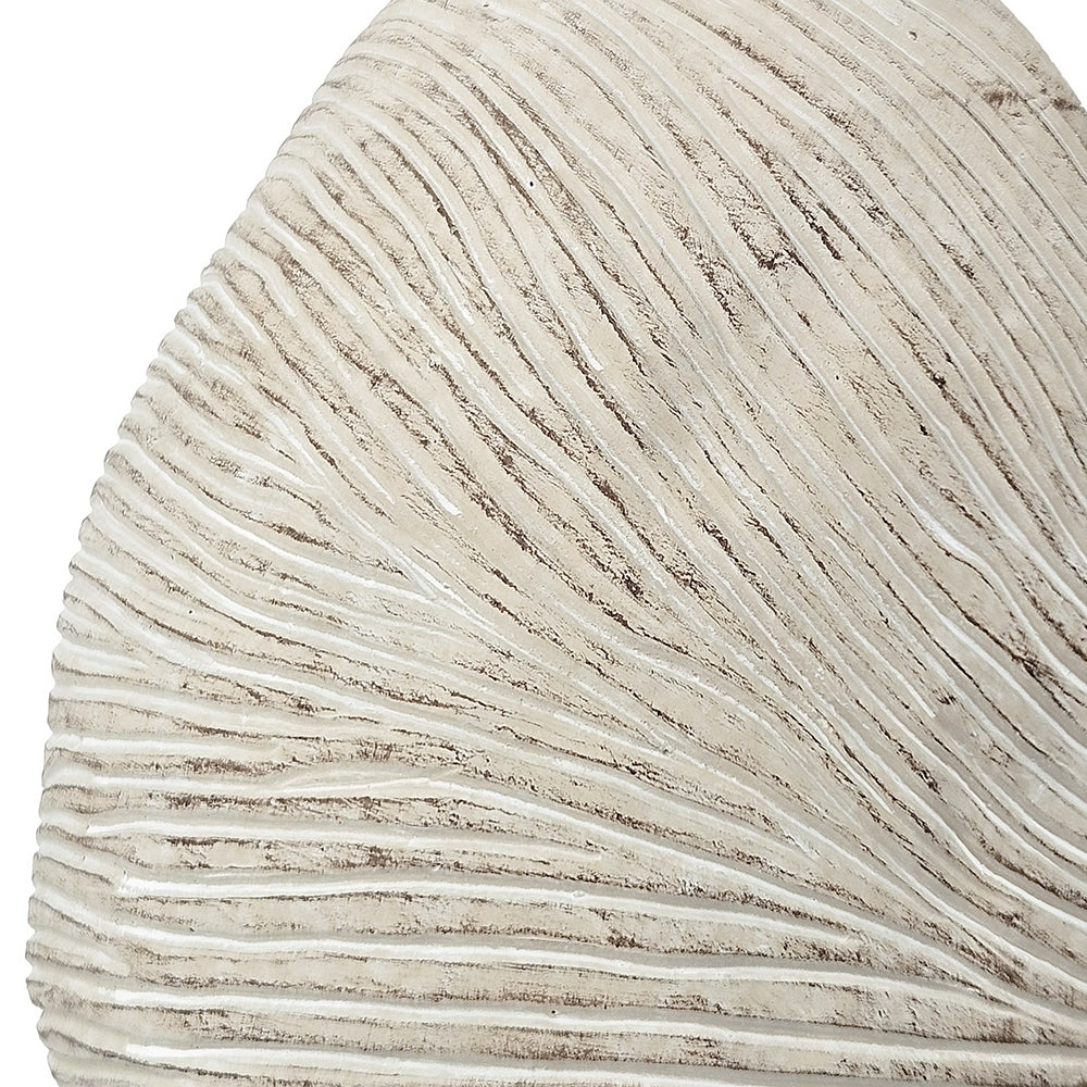 Nautilus shell planter beige textured sand-cement finish HouseOfZazla decor on Tampa Home & Garden Store