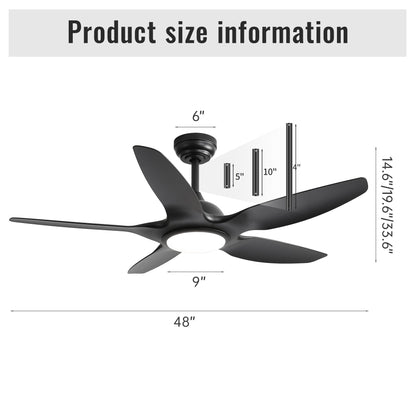 Ceiling fan HouseOfZazla black with dimmable LED light, remote, DC motor, 5 blades on Tampa Home & Garden Store