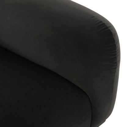 Contemporary Dark Loveseat and Velvet Sofa
