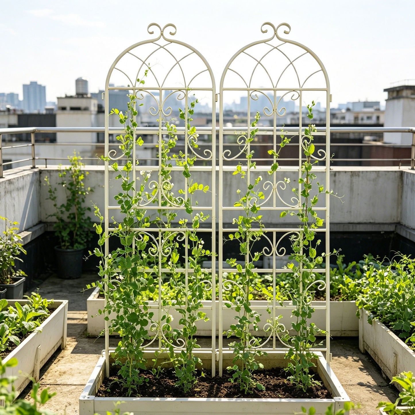 Metal Trellis For Climbing Plants And Vines