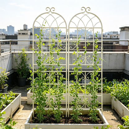 Metal Trellis For Climbing Plants And Vines