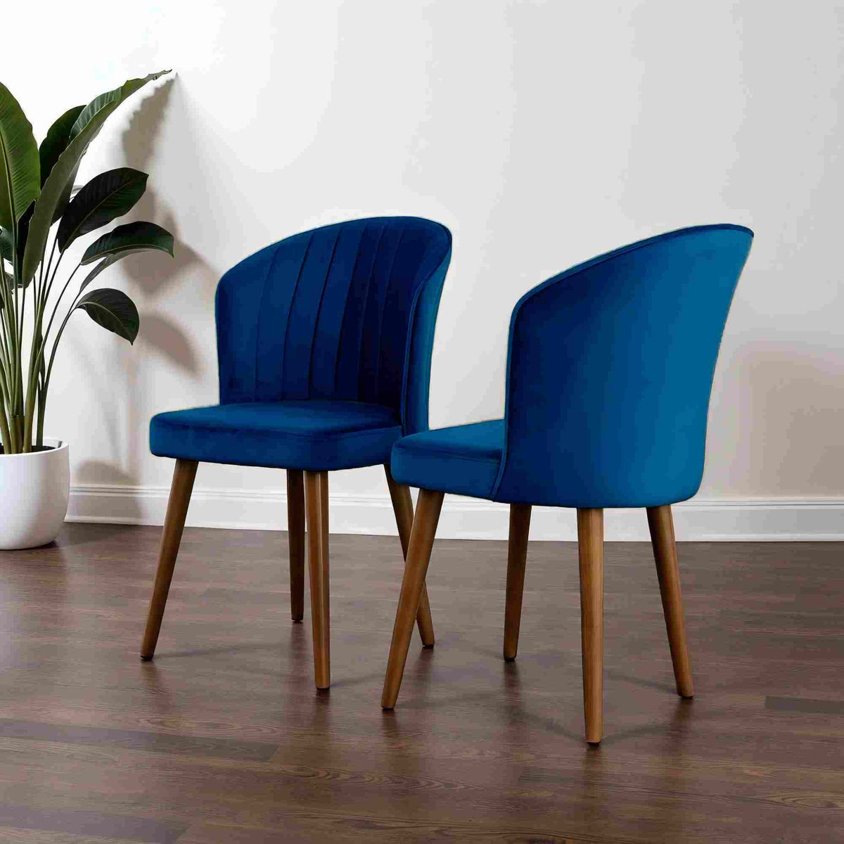 Two blue Parsons dining chairs with light wood legs in a dining setup near a potted plant on Tampa Home & Garden Store