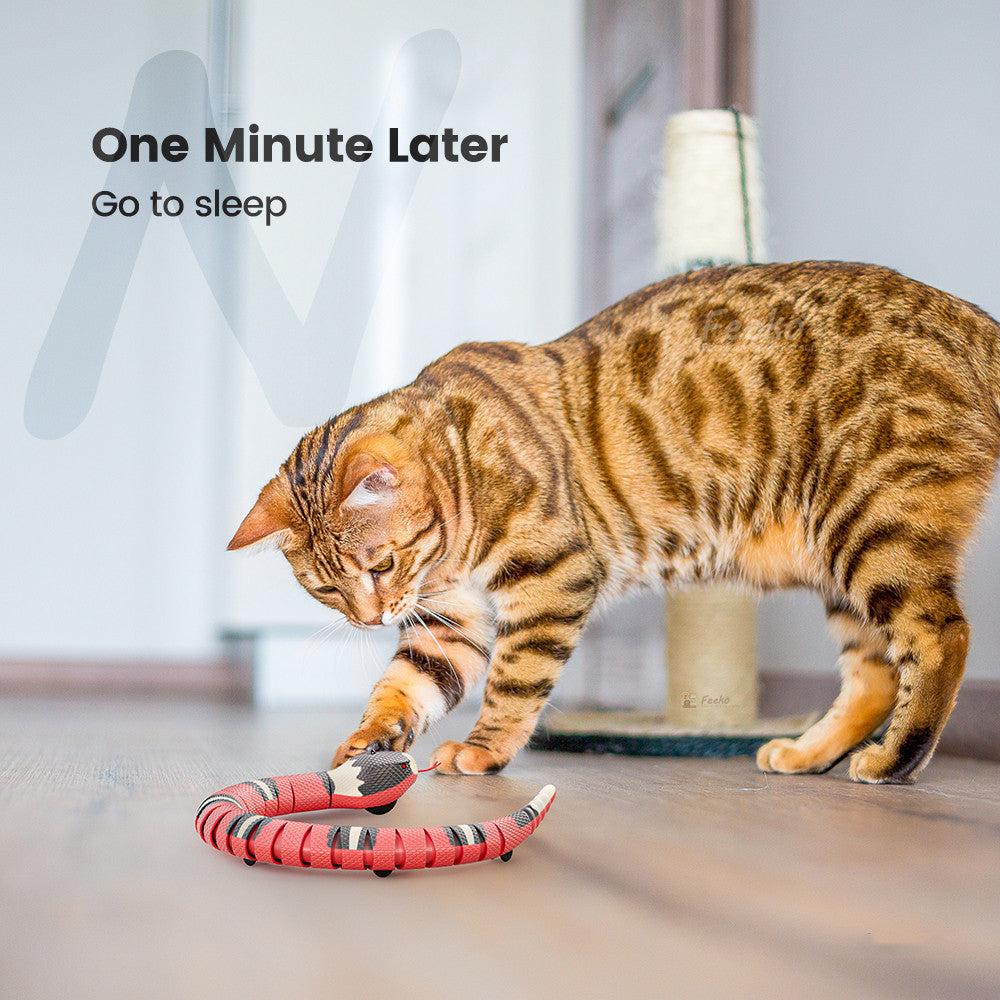 Tricky Interactive Electric Induction Snake Toys red-gray snake toy on floor with cat on Tampa Home & Garden Store