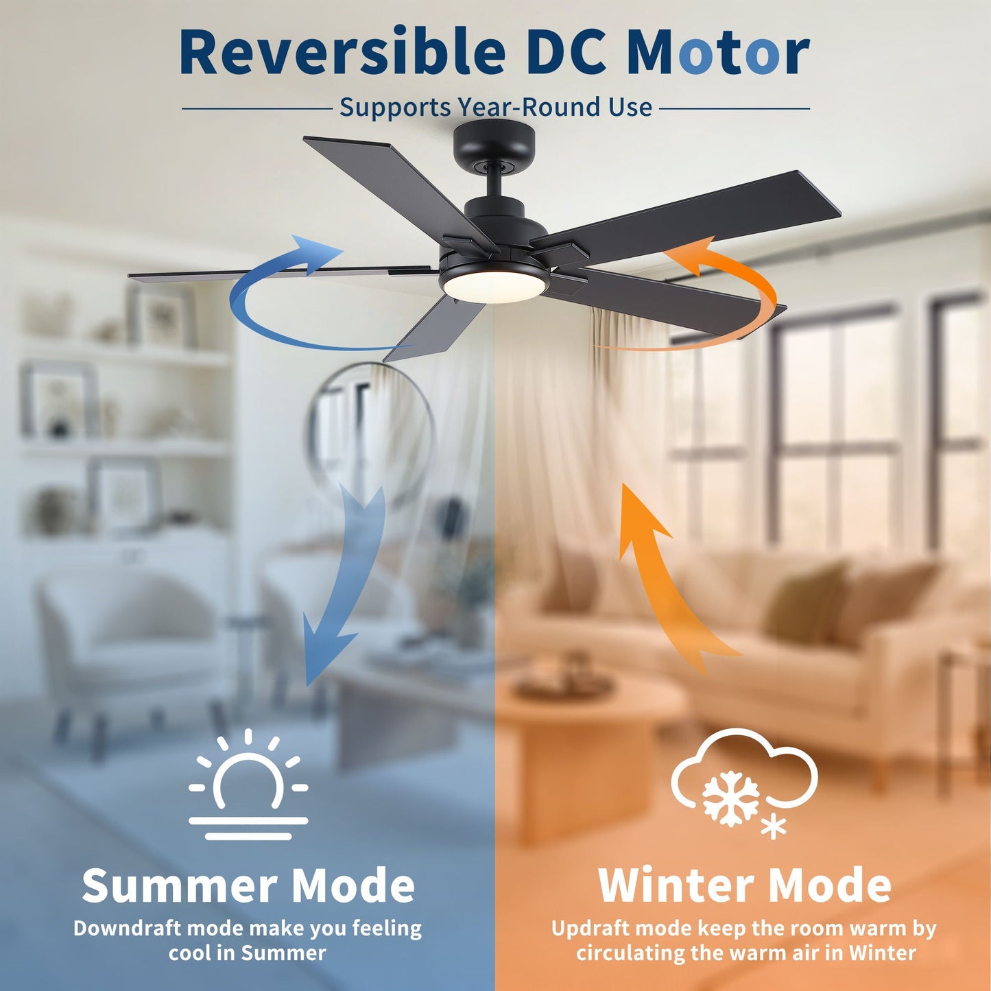 Reversible DC motor ceiling fan with integrated LED light in black finish by HouseOfZazla on Tampa Home & Garden Store