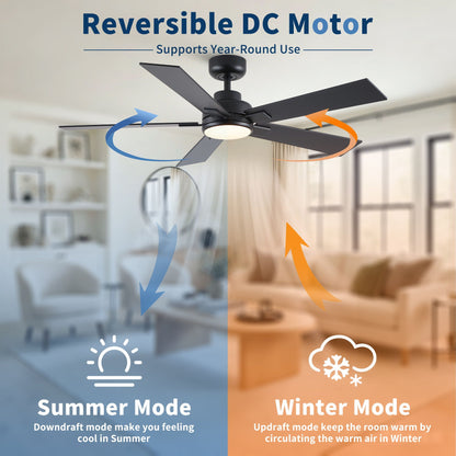 Reversible DC motor ceiling fan with integrated LED light in black finish by HouseOfZazla on Tampa Home & Garden Store
