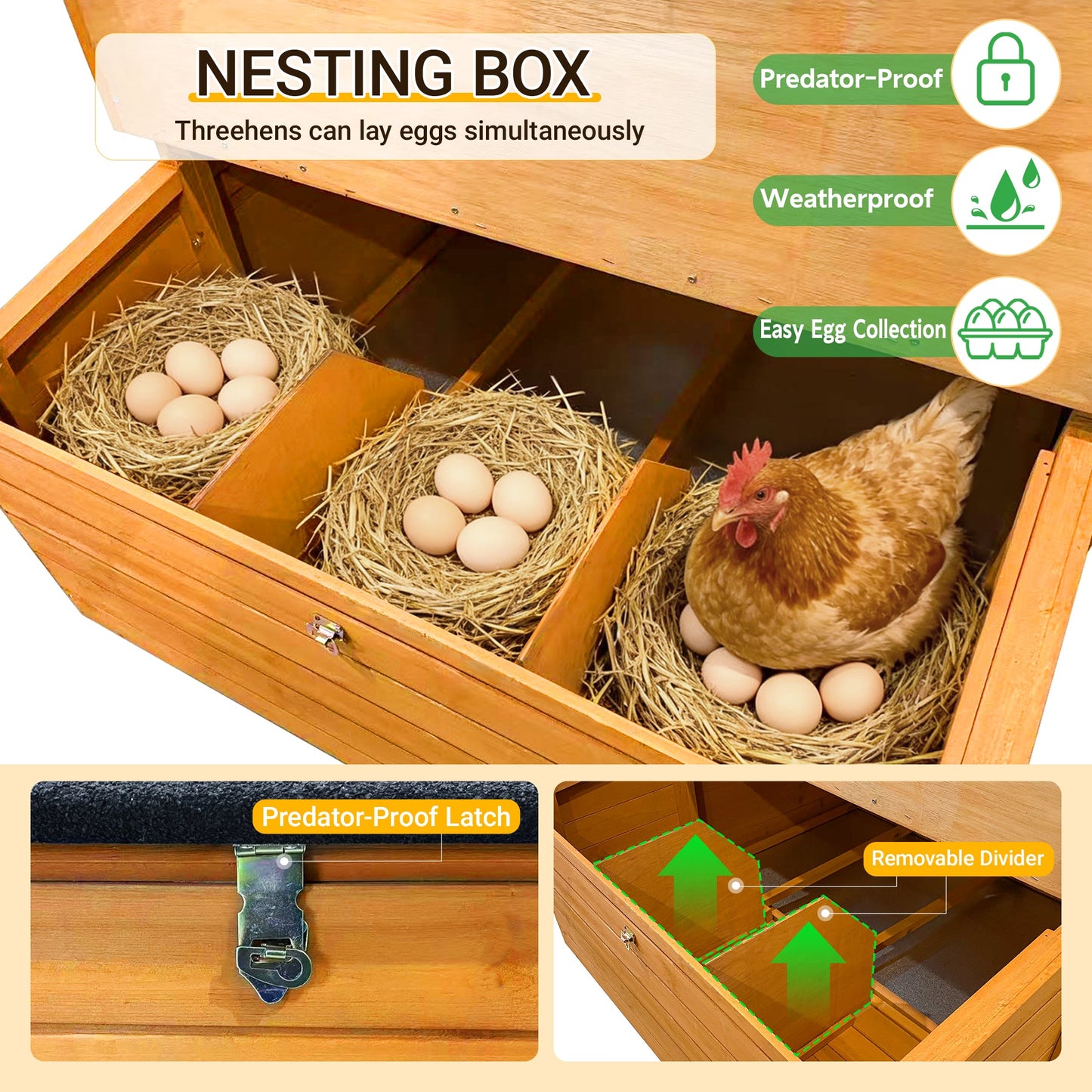 Double-House Wooden Chicken Coop for 6-8 Chickens with two nesting boxes on Tampa Home & Garden Store