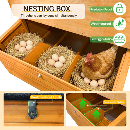 Double-House Wooden Chicken Coop for 6-8 Chickens with two nesting boxes on Tampa Home & Garden Store