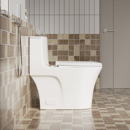 White one piece toilet with tornado dual flush by HouseOfZazla in a modern bathroom on Tampa Home & Garden Store