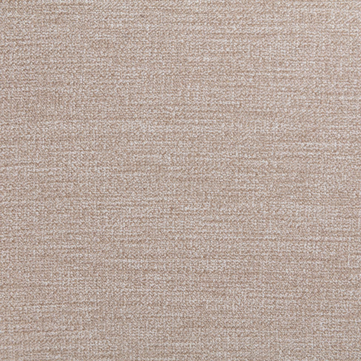 Beige carpet texture close-up background with no furniture on Tampa Home & Garden Store
