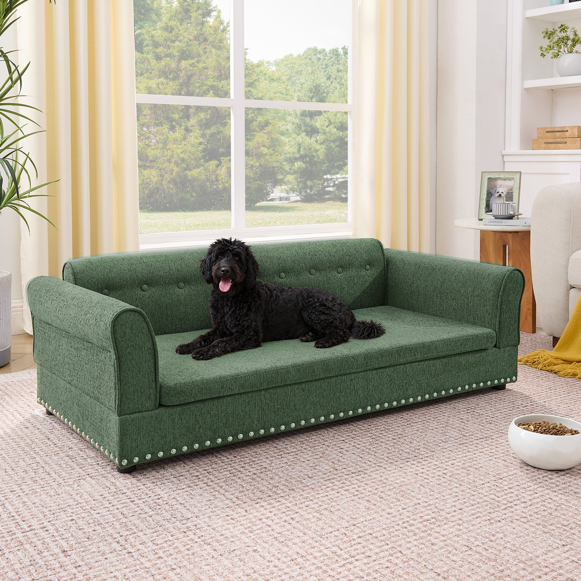 Oversized pet sofa in green textured fabric with nailhead trim; dog lounging on Tampa Home & Garden Store