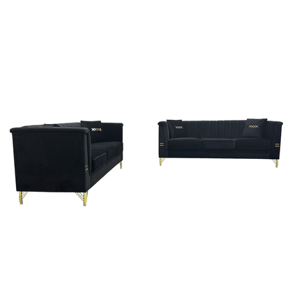 Elegant Two Piece Velvet Sofa Set and Cushion
