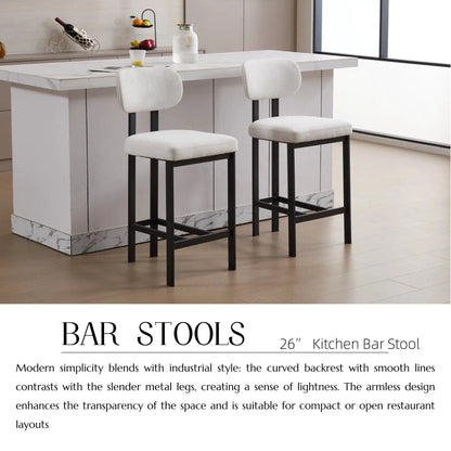 Modern Counter Height Stools Set of 2 Cushions
