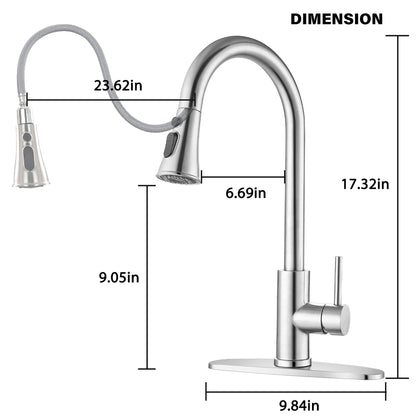High Arc Kitchen Faucet and Pull Down Sprayer